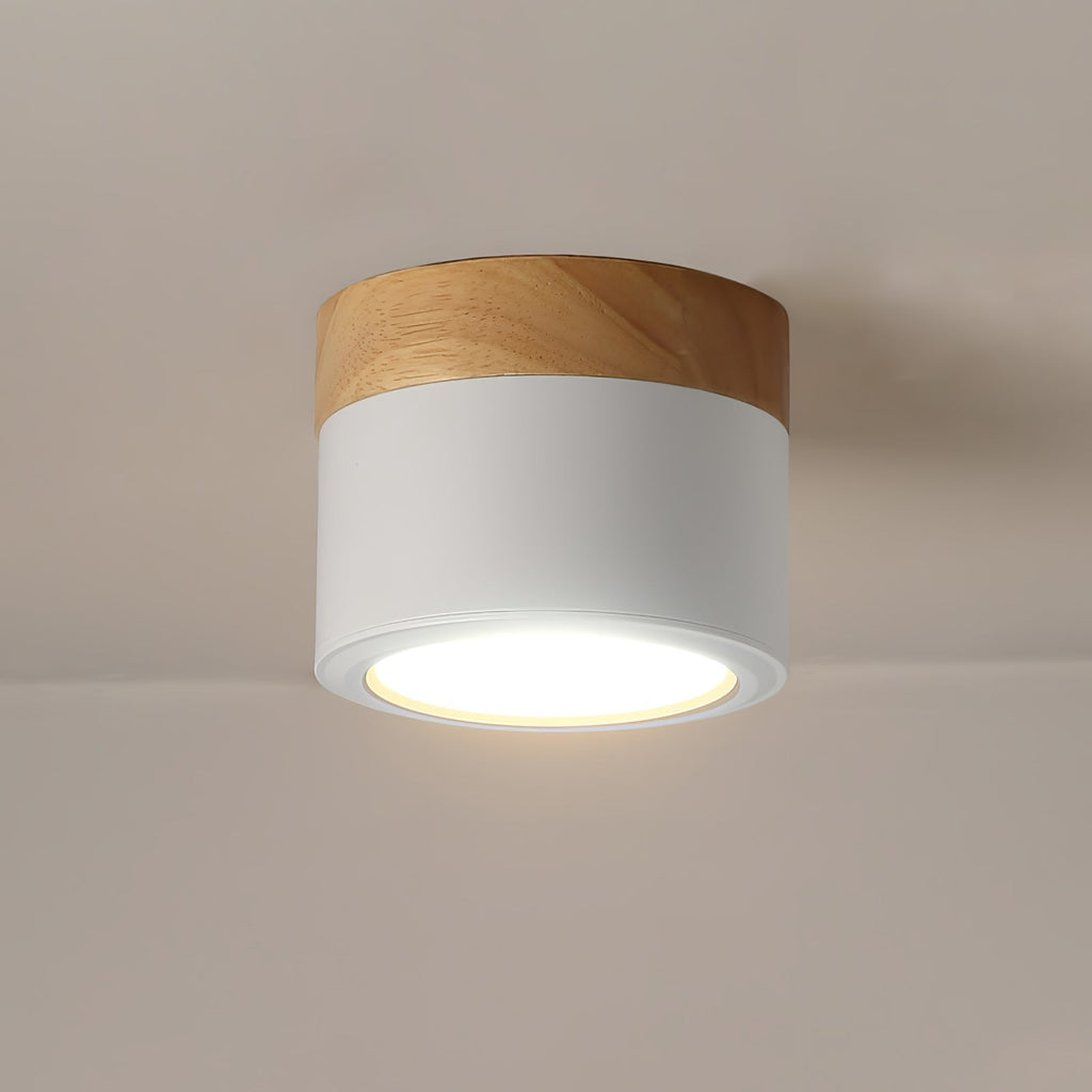 Plafonnier Spot Nordic Deckenlampe – Stilvolles Licht für Ihr Zuhause